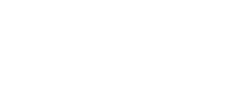VSTECS